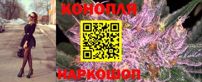 прущие грибы Кудымкар