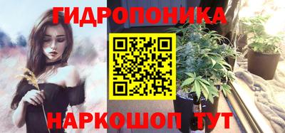 ГАЛЛЮЦИНОГЕННЫЕ ГРИБЫ Берёзовский