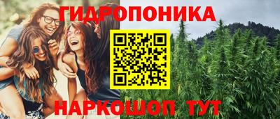 ГАЛЛЮЦИНОГЕННЫЕ ГРИБЫ Берёзовский
