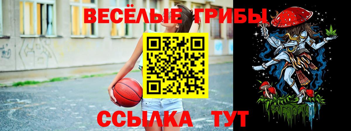 Галлюциногенные грибы MAGIC MUSHROOMS  закладки  Каспийск  Вход с VPN 